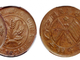 湖南中华民国双旗嘉禾当十铜元二枚