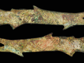 先秦鱼币成交价格  1180