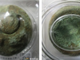 西汉白金三品龙币价格表