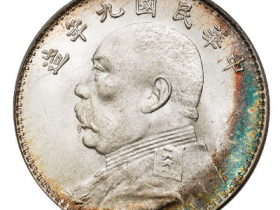 九年粗发大头最新价格