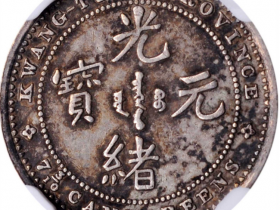广东省造光绪元宝七三反版七分三釐银币
