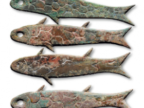 鱼币的图片价格表