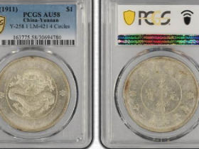 云南新龙七钱二分价格