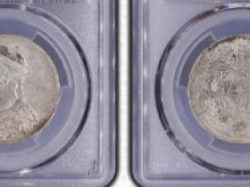 四川省造光绪像银币(无领横花葫芦花)