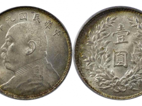 民国九年袁像银币海南版