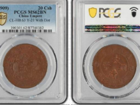 (PCGS-MS62BN)己酉大清铜币二十文