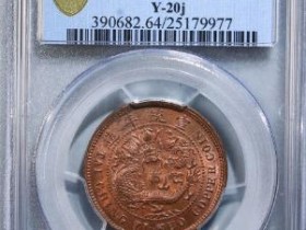 大清铜币己酉鄂十文¥19500