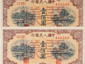 第一版人民币壹佰圆“北海与角楼”价格