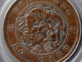 四川省造20文山字龙¥12,500